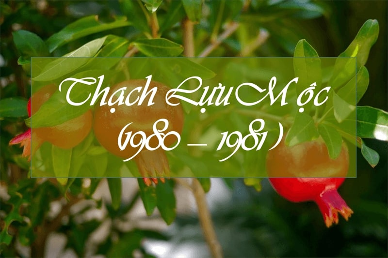 Luận bàn về Thạch Lựu Mộc (Canh Thân - 1980, Tân Dậu - 1981)