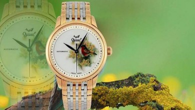 Chiêm ngưỡng Catalogue của Ogival