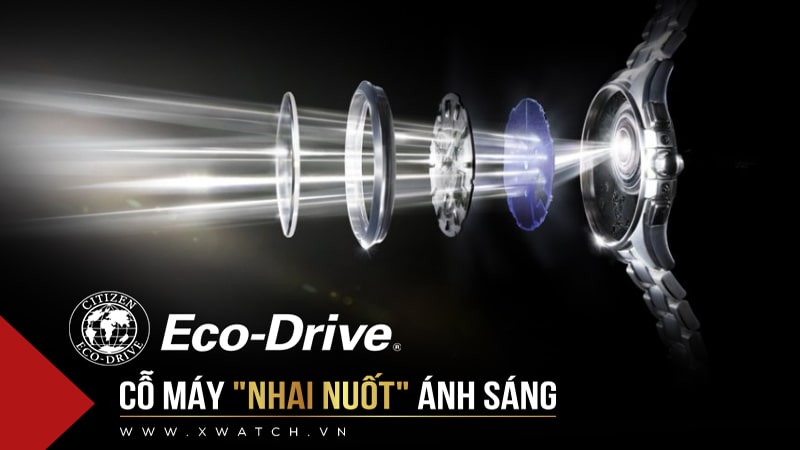 Đồng hồ Citizen Eco-Drive hấp thụ ánh sáng