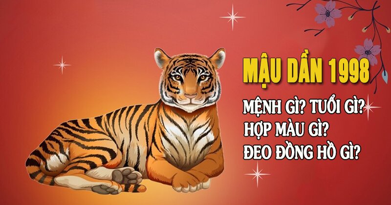 [Q&A] Sinh năm 1998 mệnh gì? Hợp tuổi gì? Hợp màu gì? - Kinh nghiệm