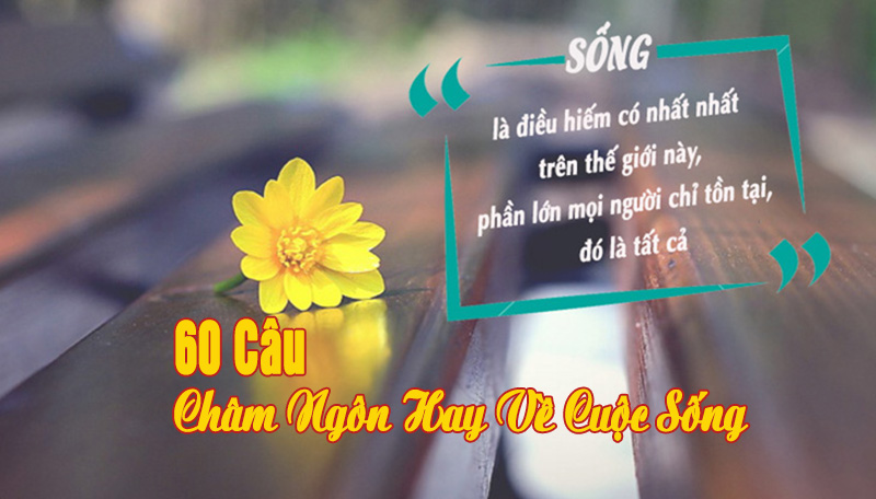 60+ Câu châm ngôn, danh ngôn, STT, Cap hay nói về cuộc sống khiến bạn lạc quan yêu đời hơn