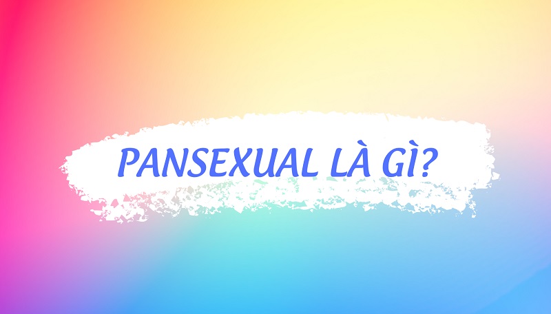 1001 điều về Pansexual: Họ là ai, khác gì so với giới tính khác?
