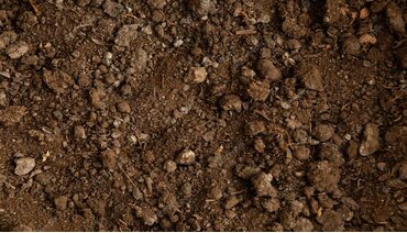 Màu nâu đất: Ranh giới mơ hồ giữa "Quê Mùa" và "Sang Chảnh"