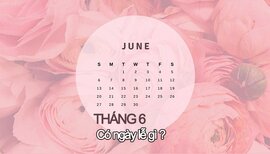 Tháng 6 có ngày lễ gì? Tổng hợp từ A - Z những ngày lễ quan trọng trong tháng 6