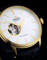 Đồng hồ Orient FAG02003W0 1