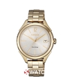 Đồng hồ Citizen FE6149-84A chính hãng small