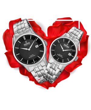Đồng hồ đôi Festina F20005/4 + F20006/4