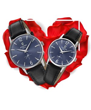 Đồng hồ đôi Festina F20248/3 + F20254/3