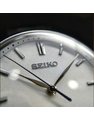 Đồng hồ Seiko SRPD39J1 1