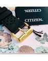 Đồng hồ Citizen BI1043-01E 3