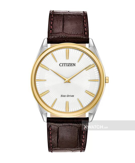 Đồng hồ Citizen AR3074-03A