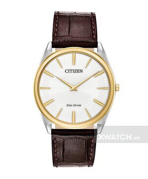 Đồng hồ Citizen AR3074-03A