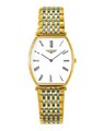 Đồng hồ Longines L4.705.2.11.7