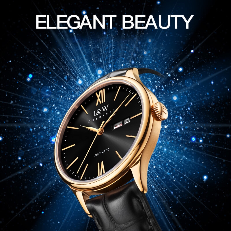 I&W Carnival Nam 529G3