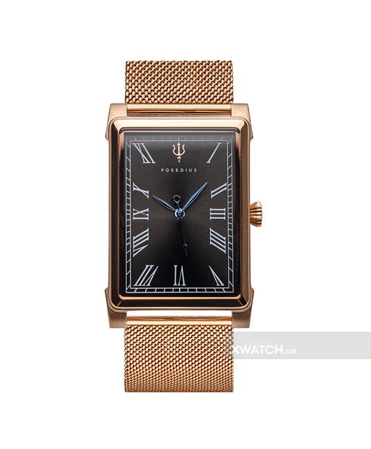 Đồng hồ Posedius PT-02-DM-VH