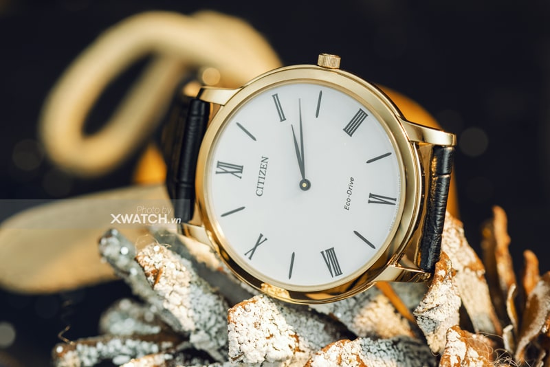 Đồng hồ Citizen Eco Drive dây da nam