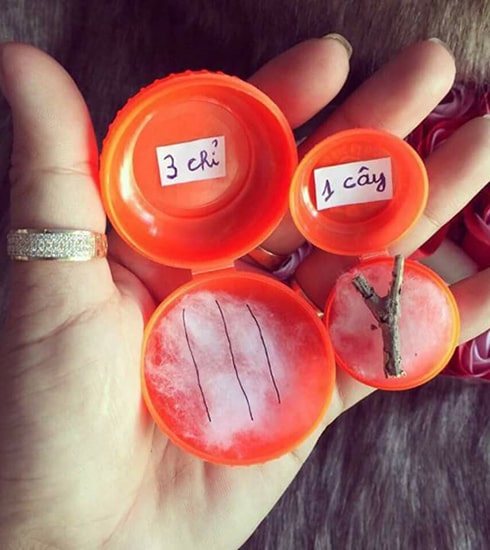 Quà tặng bất ngờ