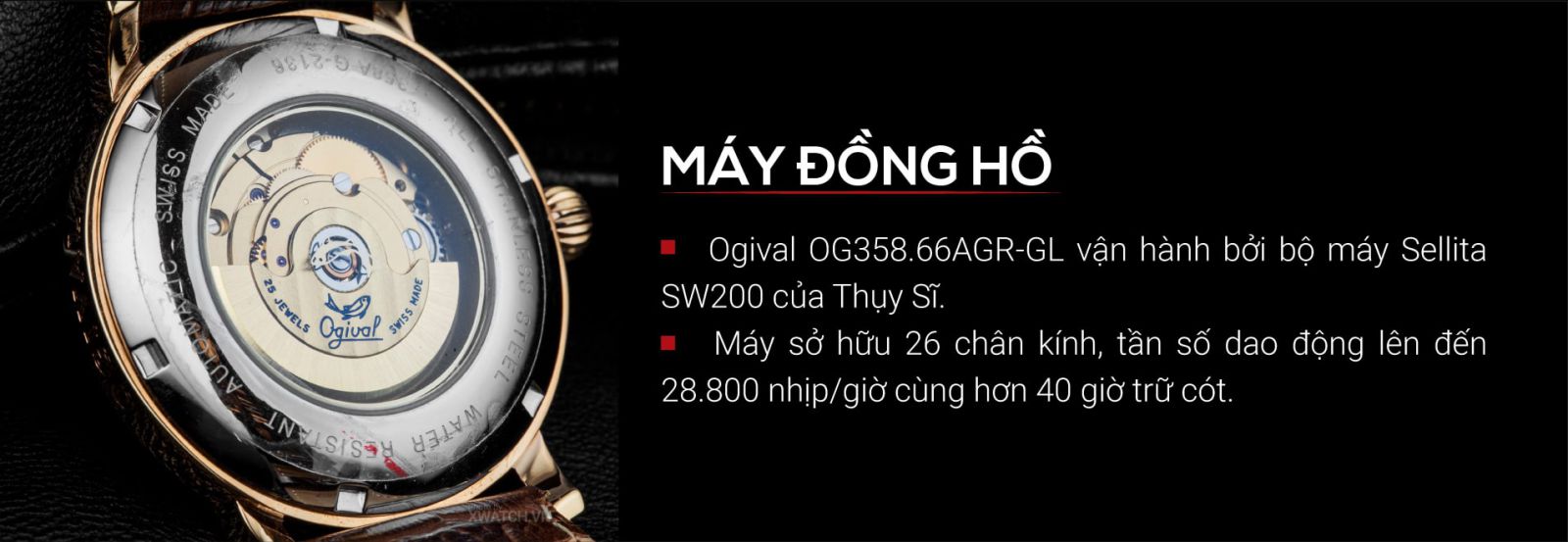 Đồng hồ Ogival OG358.66AGR-GL Long Phụng