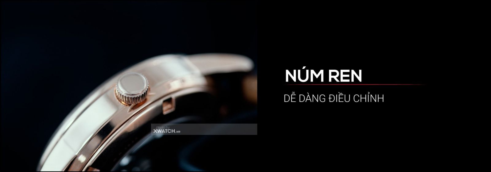 Đồng hồ Citizen NY4053-05A