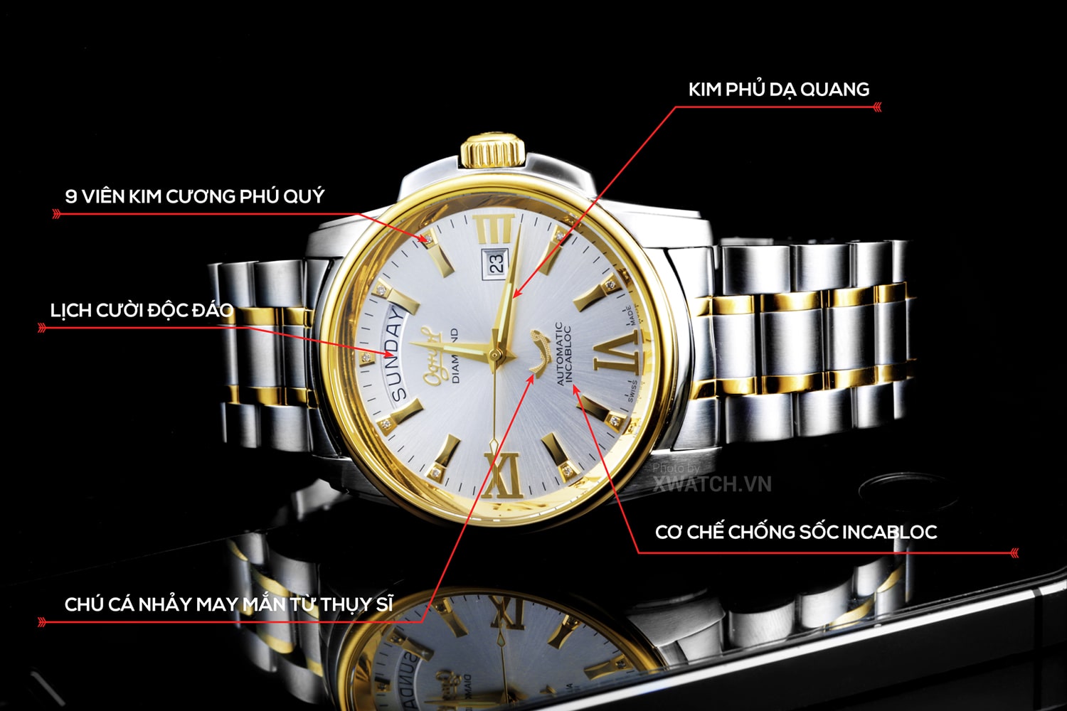 Đồng hồ Ogival OG3360AJMSK-T