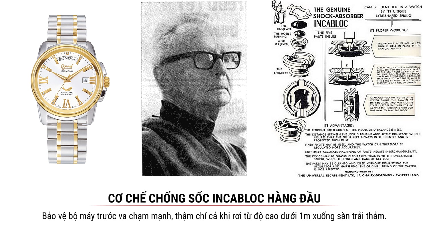 Đồng hồ Ogival OG3360AJMSK-T