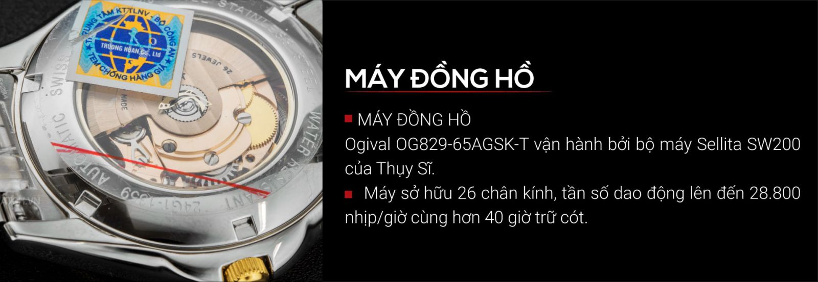 Đồng hồ Ogival OG829-65AGSK-T