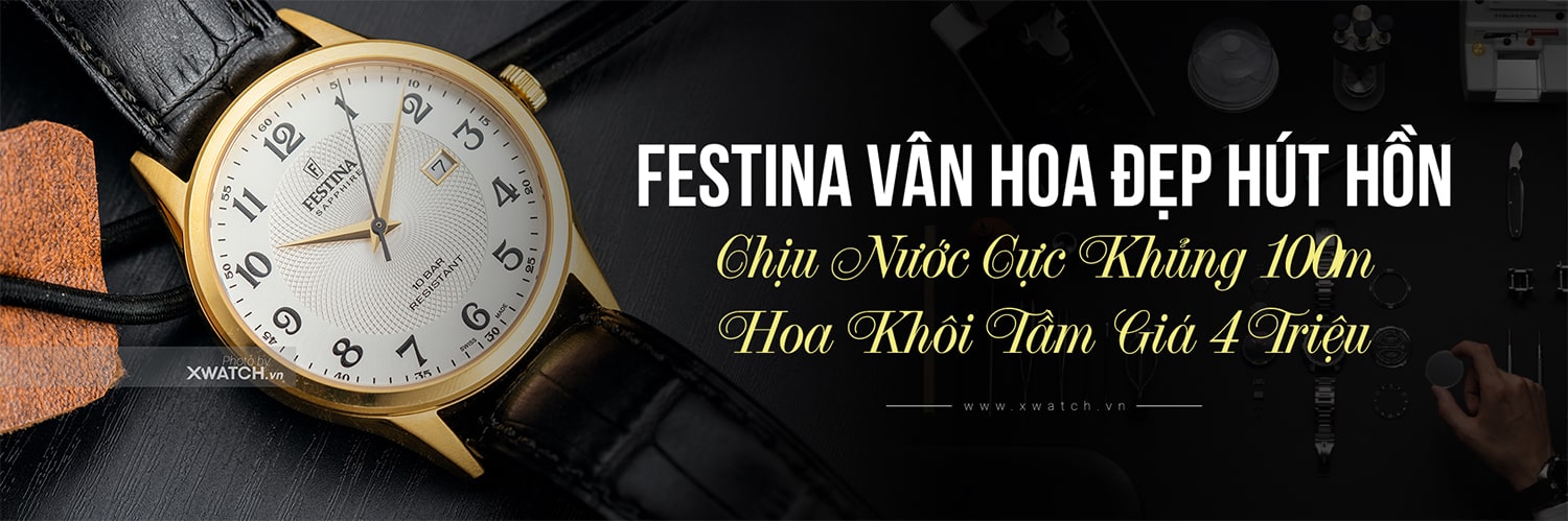 Đồng hồ Festina F20010/1
