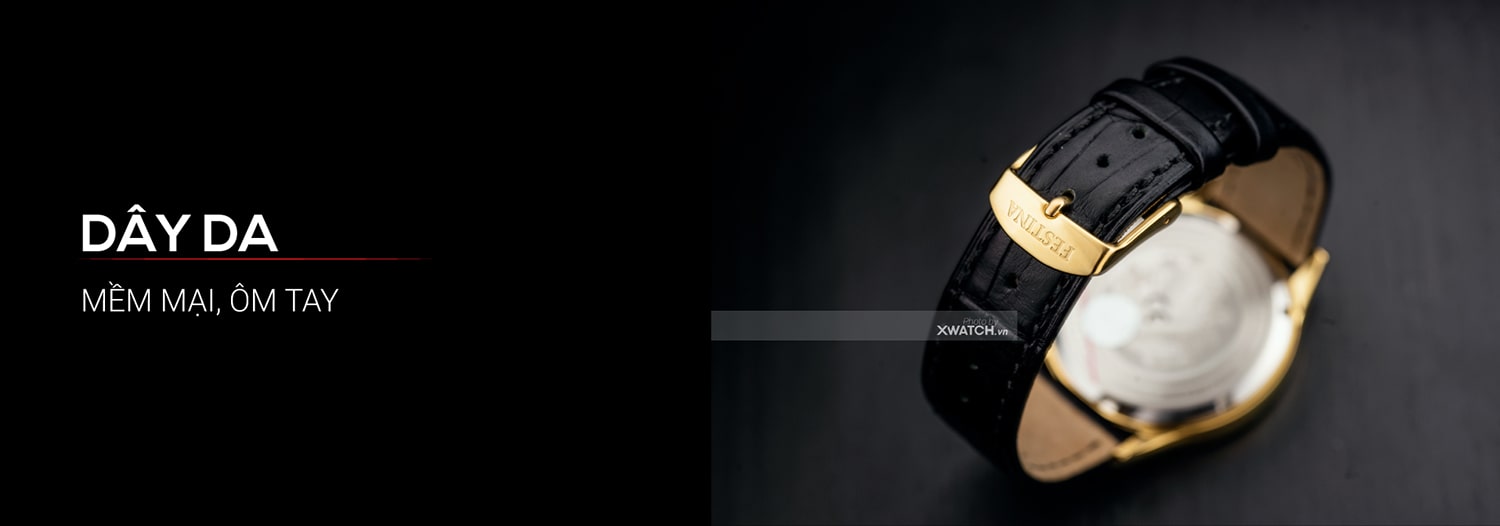 Đồng hồ Festina F20010/1