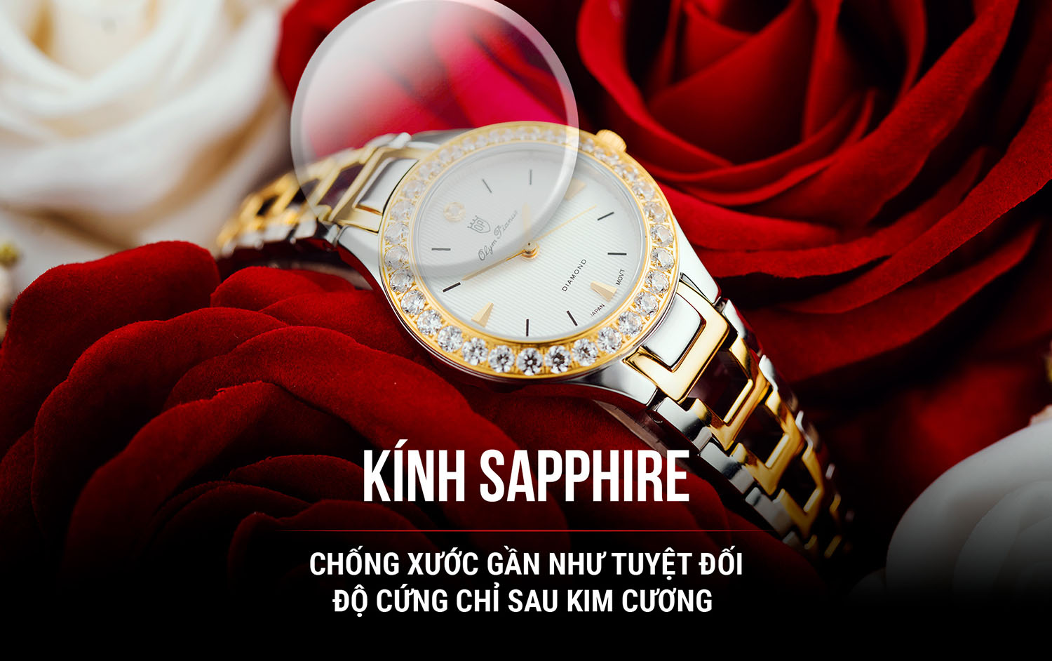 Đồng hồ Olym Pianus OP24591DLSK-T