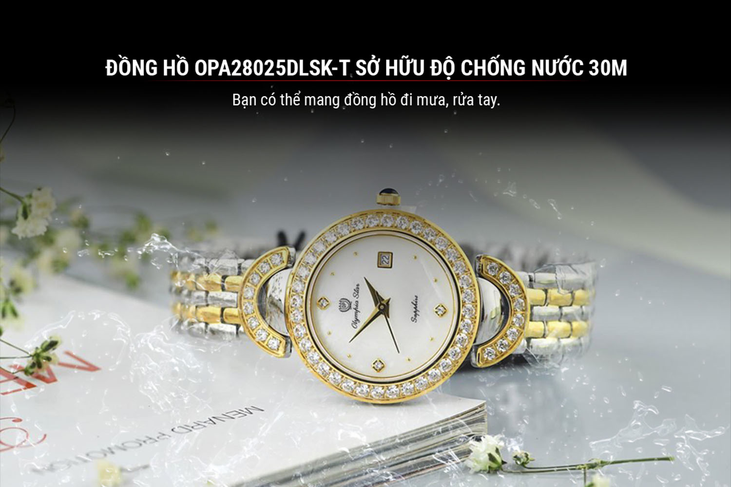 Olympia Star OPA28025DLSK-T