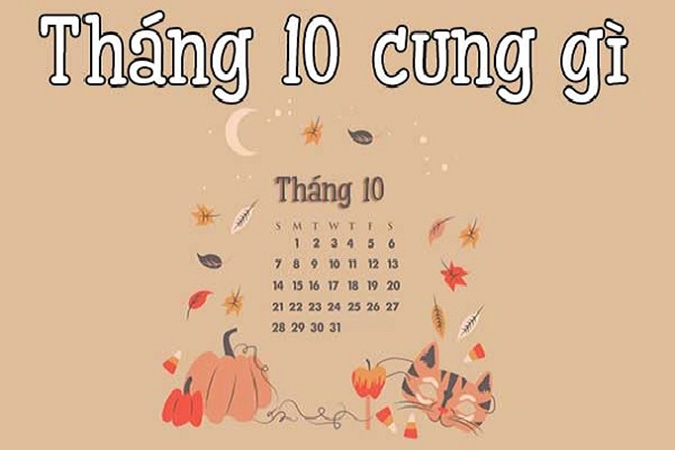 Cách xem bạn thuộc cung hoàng đạo nào hay chòm sao gì