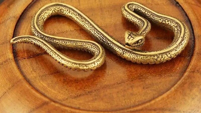 Theo phong thủy rắn được coi là biểu trưng cho sự tái sinh