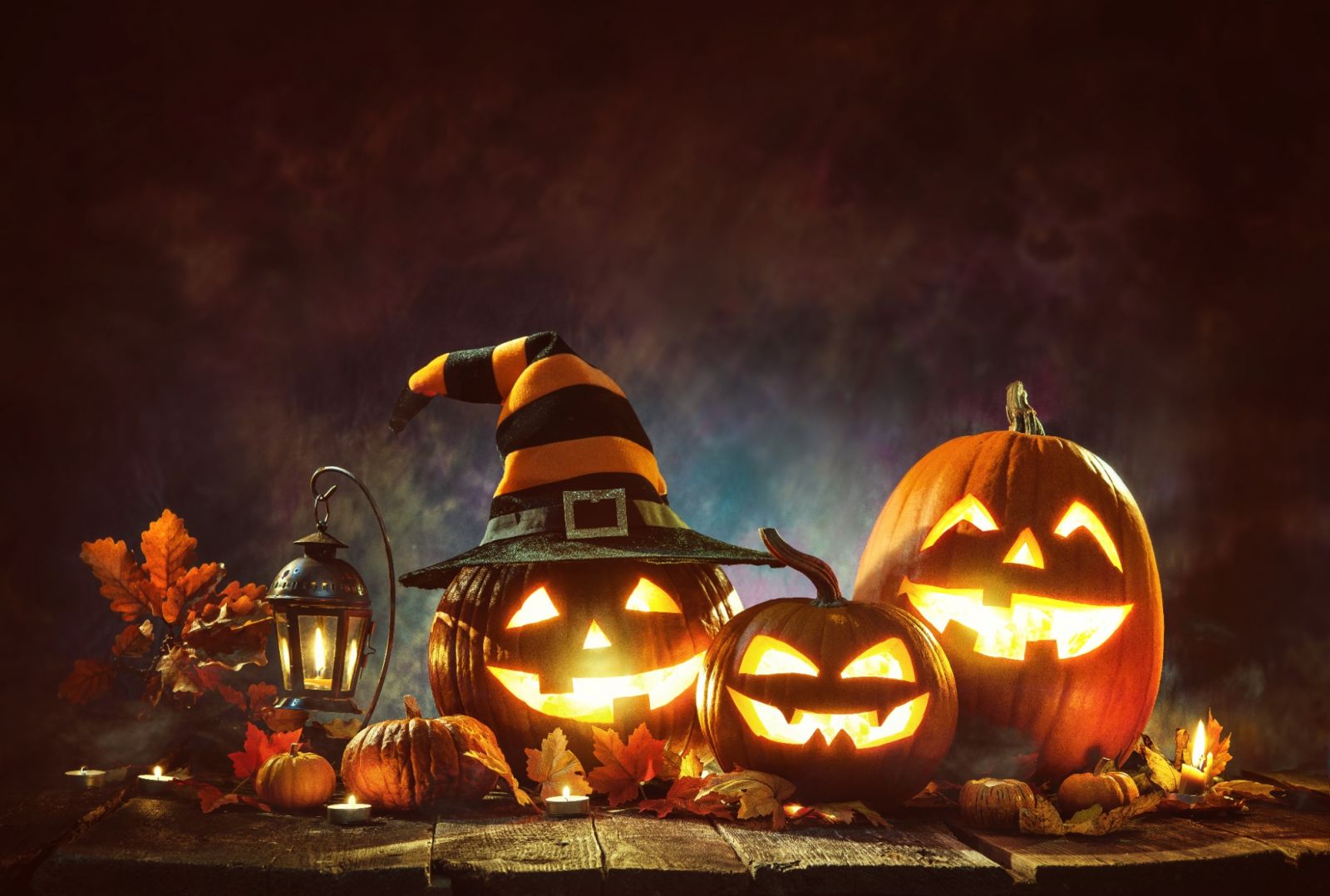 Lễ hội Halloween được tổ chức ngày 30/10