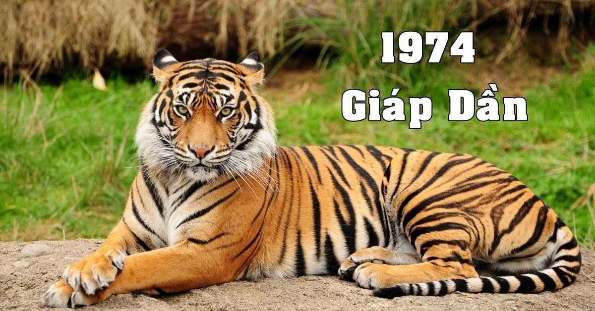 Xem Ngay AZ Sinh năm 1974 mệnh gì Hợp màu nào tuổi nào