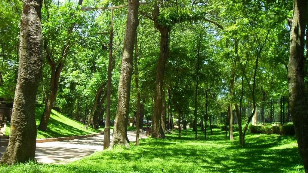 Công viên Bách Thảo được mệnh danh là lá phổi xanh của Hà Nội