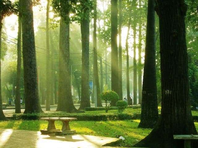 Công viên Tao Đàn được xem là công viên đẹp nhất Quận 1