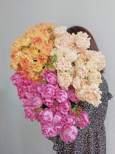 Nhiều mẫu hoa tươi đẹp đa dạng ở shop hoa tươi nhập khẩu Talia Flower