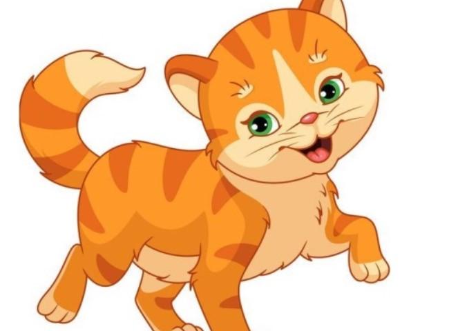 Màu hợp và kỵ với tuổi Mão