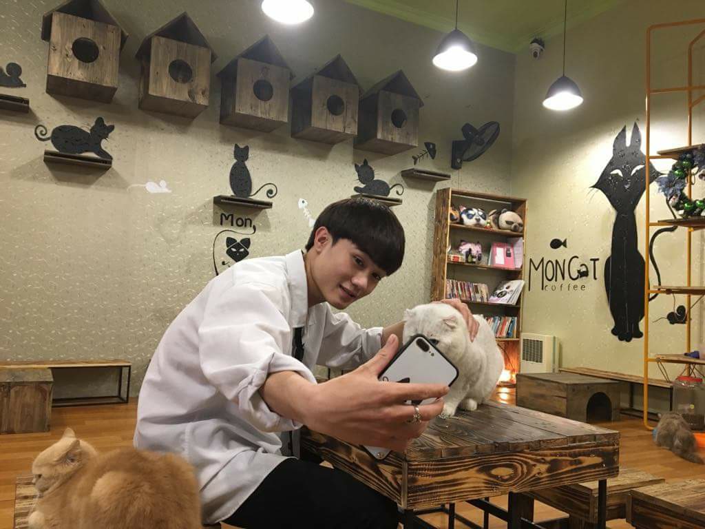 Eoeo Coffee - Cafe mèo Hà Nội