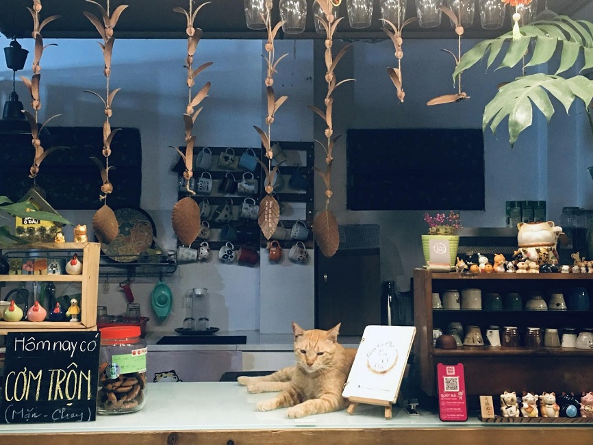 Em Ở Đâu - Cafe mèo TPHCM