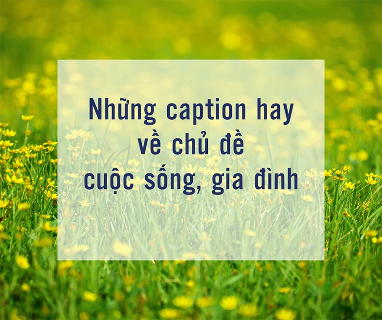 Caption hay về cuộc sống gia đình