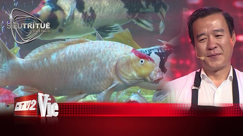 Vua Cá Koi với màn tranh tài đỉnh cao tại Siêu trí tuệ