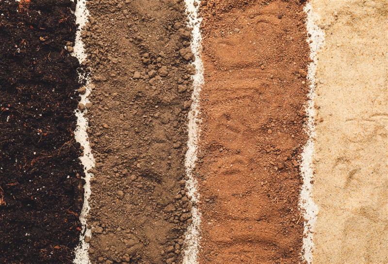 Các loại màu nâu đất phổ biến trong đời sống