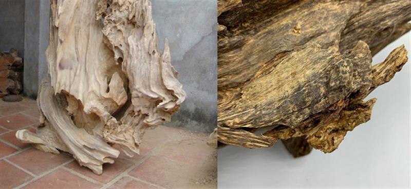 Lợi ích về mặt sức khoẻ