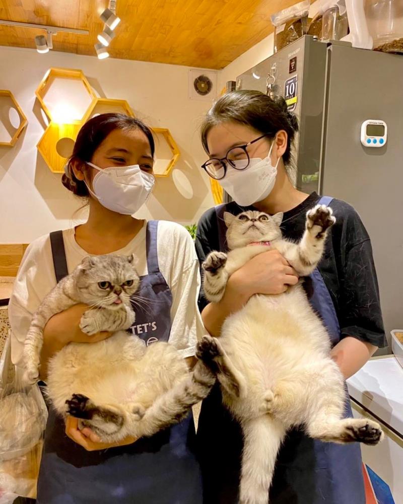 Bastet’s Home Coffee  